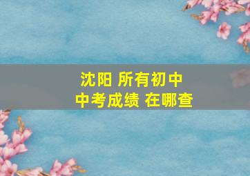 沈阳 所有初中 中考成绩 在哪查